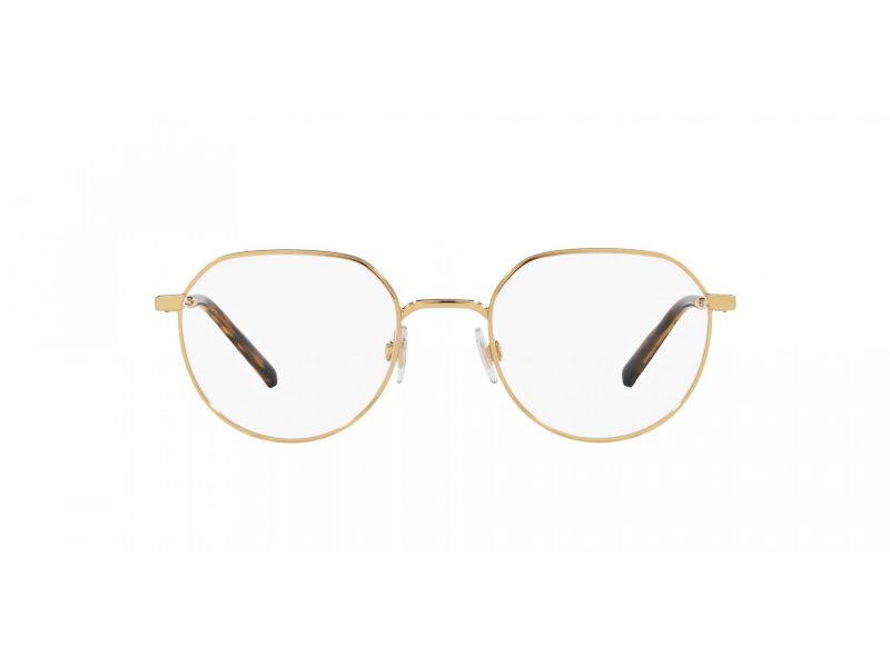 Dolce & Gabbana DG 1349 02 52 Men glasses