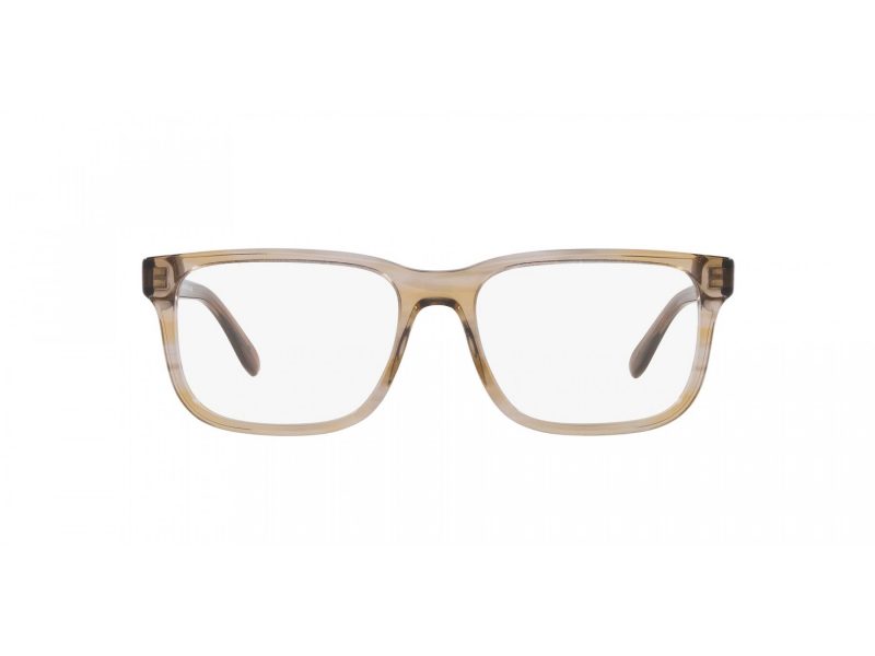 Emporio Armani EA 3218 5099 53 Men glasses