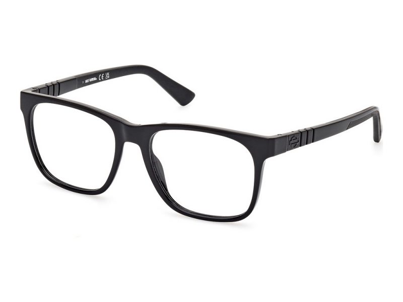 Harley-Davidson HD 00012 001 54 Men glasses