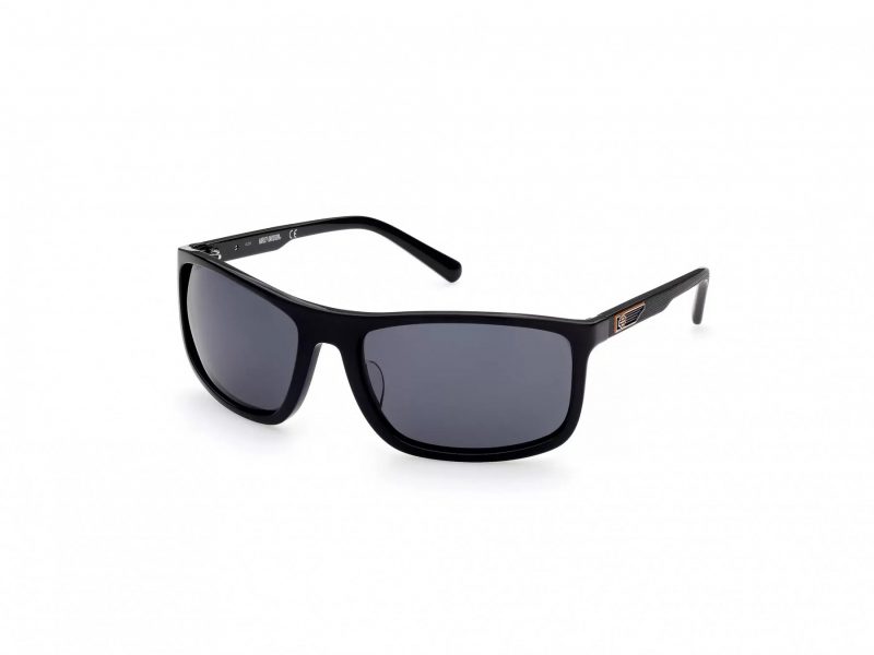 Harley-Davidson HD 0956X 01D 64 Men sunglasses