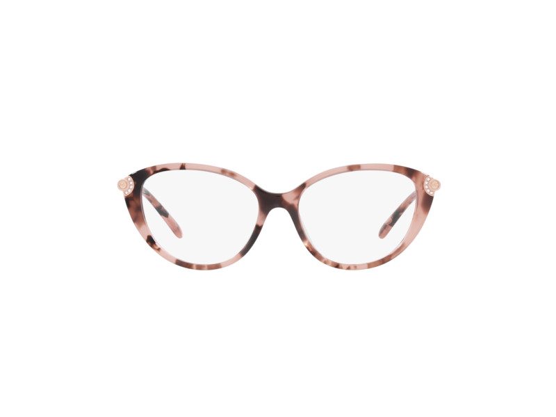 Michael Kors Savoie MK 4098/BU 3009 53 Women glasses