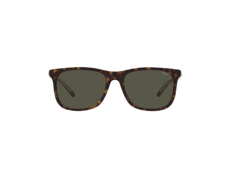 Polo PH 4186U 6027/82 55 Men sunglasses