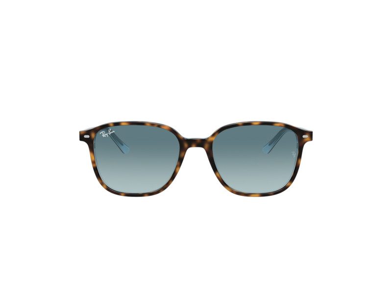 Ray-Ban Leonard RB 2193 1316/3M 53 Men, Women sunglasses