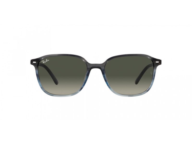 Ray-Ban Leonard RB 2193 138171 55 Men, Women sunglasses