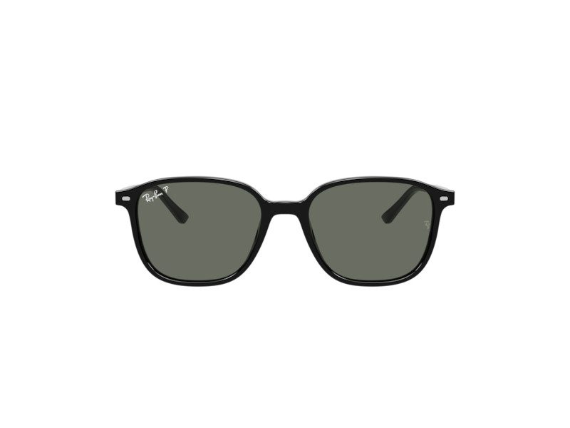 Ray-Ban Leonard RB 2193 901/58 55 Men, Women sunglasses