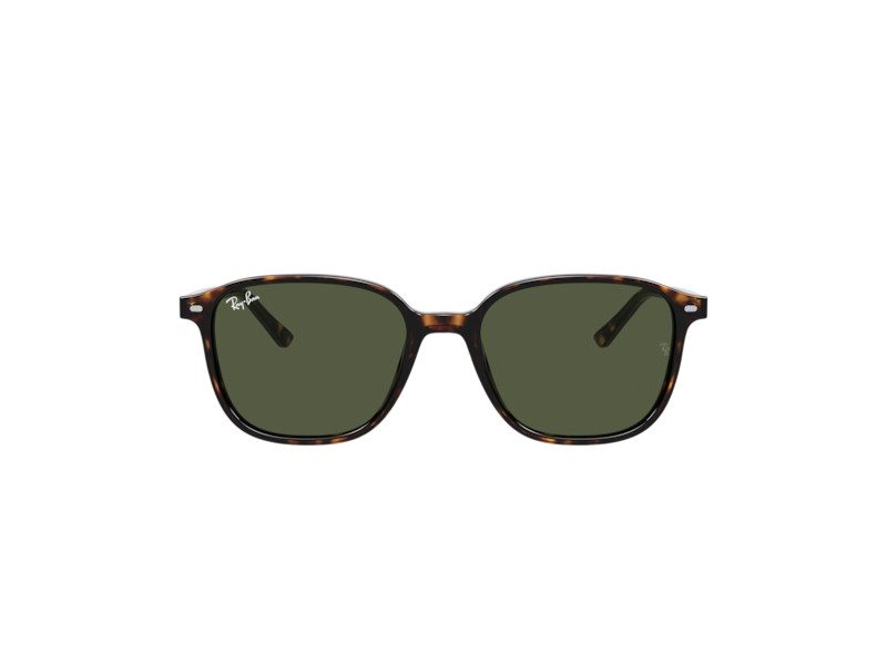 Ray-Ban Leonard RB 2193 902/31 51 Men, Women sunglasses