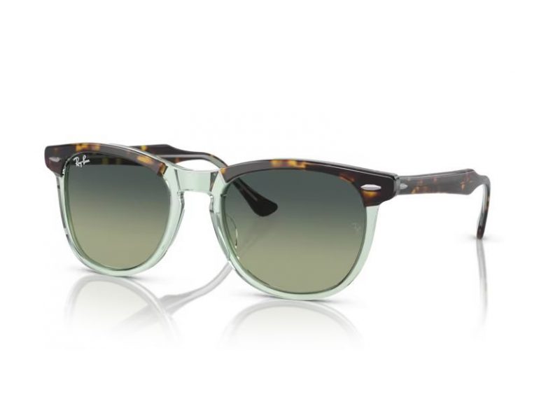 Ray-Ban Eagleeye RB 2398 1376BH 53 Men, Women sunglasses