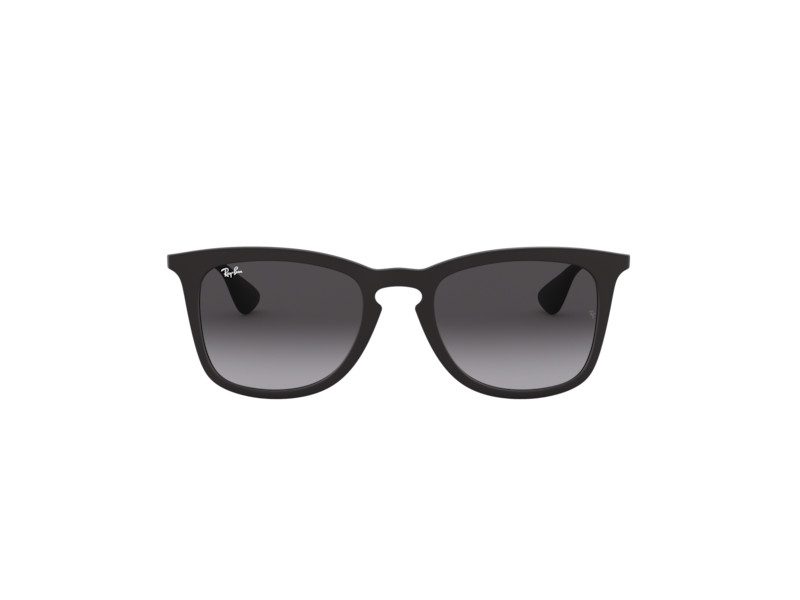 4221 2024 ray ban