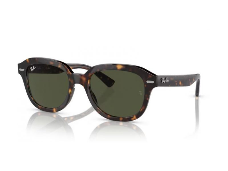 Ray-Ban Erik RB 0RB4398 902/31 51 Men, Women sunglasses