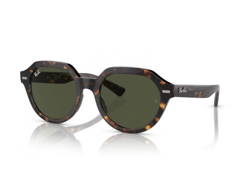 Ray-Ban Gina RB 4399 902/31 53 Men, Women sunglasses