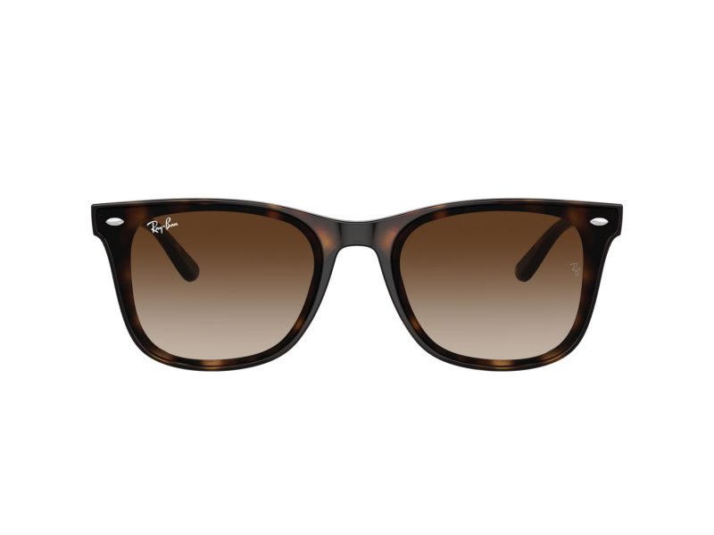 Ray-Ban RB 0RB4420 710/13 65 Men, Women sunglasses