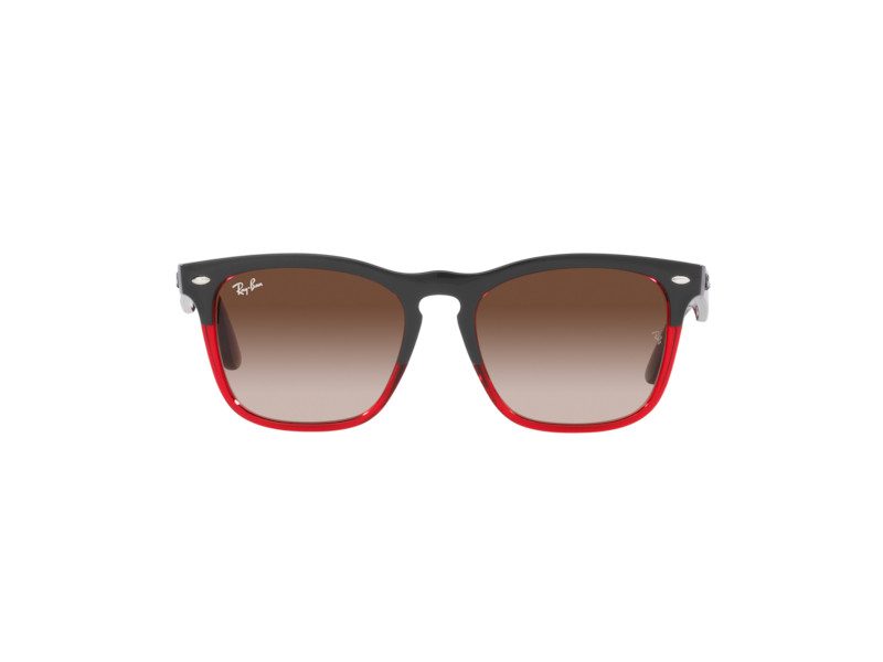 Ray-Ban Steve RB 4487 6631/13 54 Men, Women sunglasses