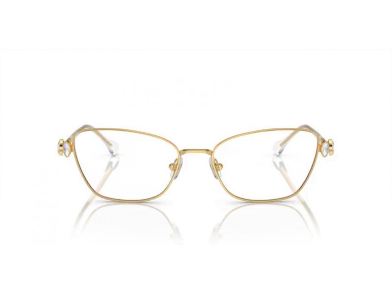 Swarovski SK 1006 4013 53 Women glasses