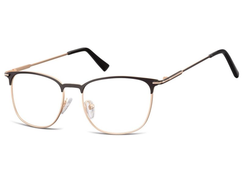 Berkeley glasses 890B