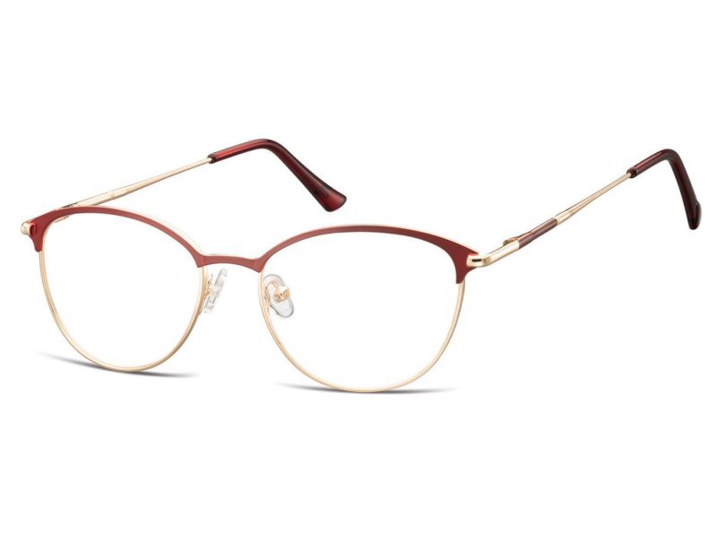 Berkeley glasses 891C