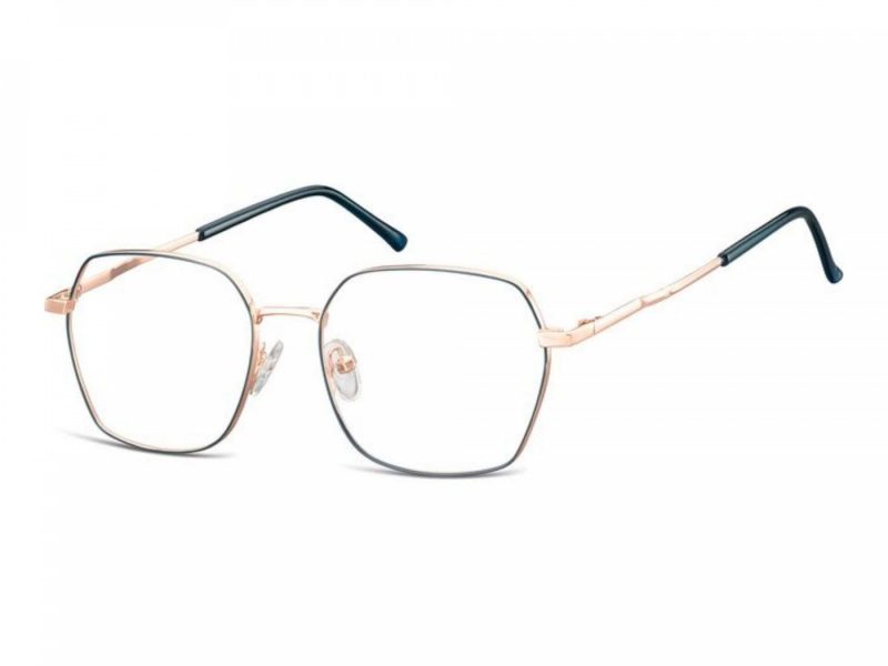 Berkeley glasses 913C