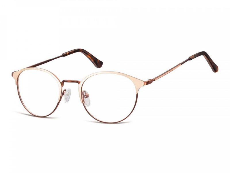 Berkeley glasses 973 C