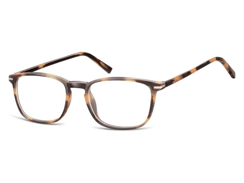 Berkeley glasses CP120D