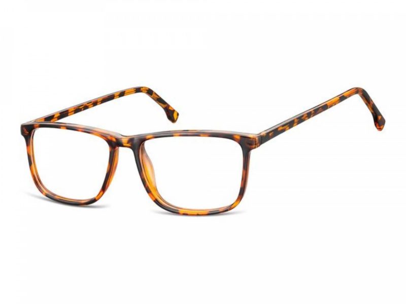 Berkeley glasses CP132B