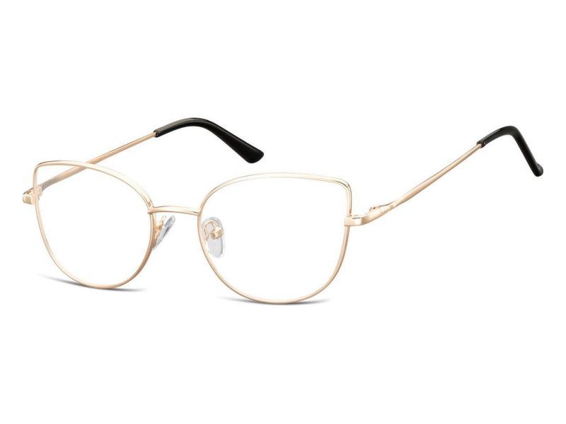 Berkeley glasses L119C