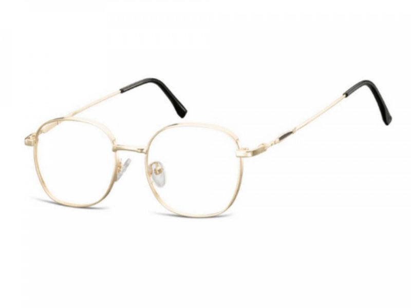 Berkeley glasses L125C