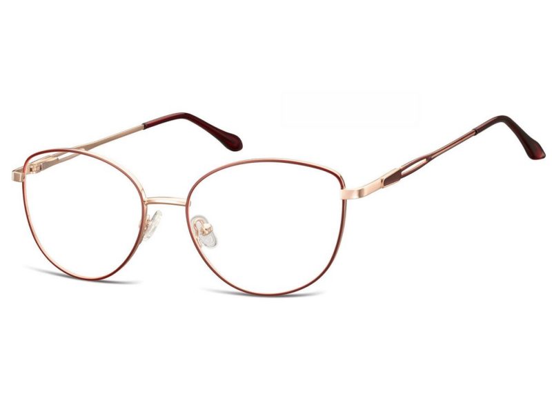 Berkeley glasses M296B