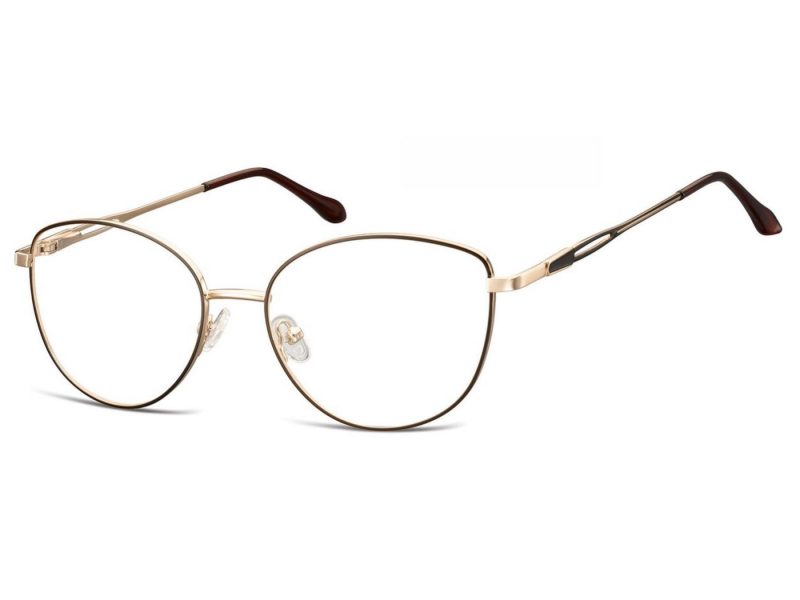 Berkeley glasses M296F