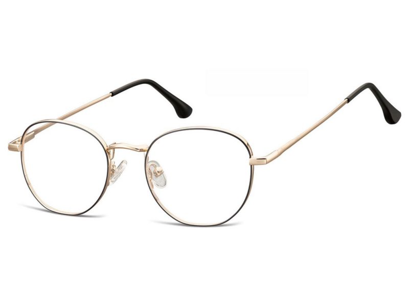 Berkeley glasses M298B