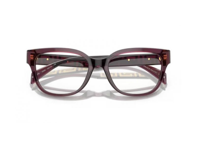 Versace VE 3338 5209 52 Women glasses