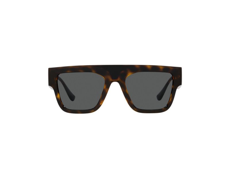 Versace VE 4430U 108/87 53 Men sunglasses