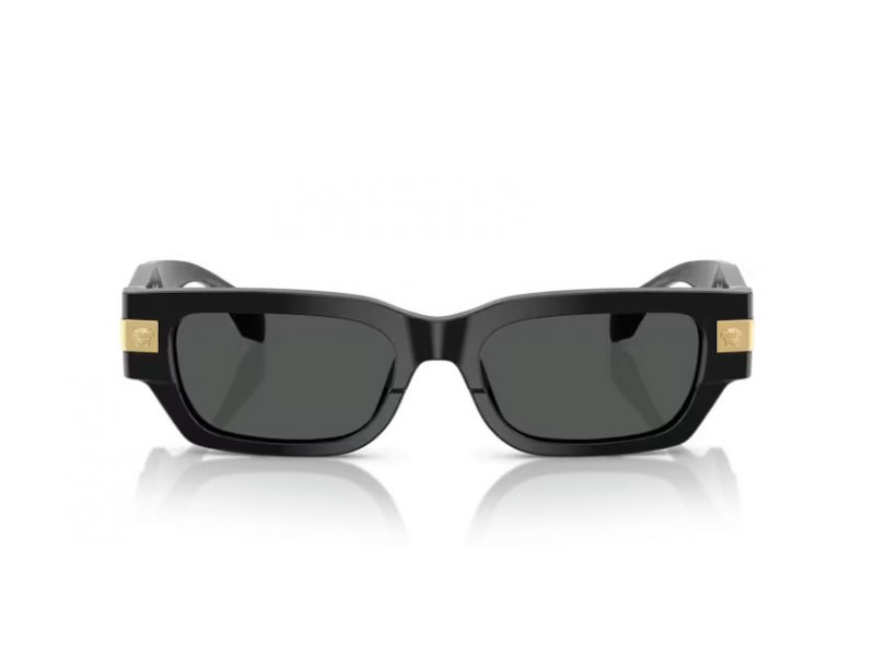 Versace VE 4465 GB1/87 53 Men sunglasses