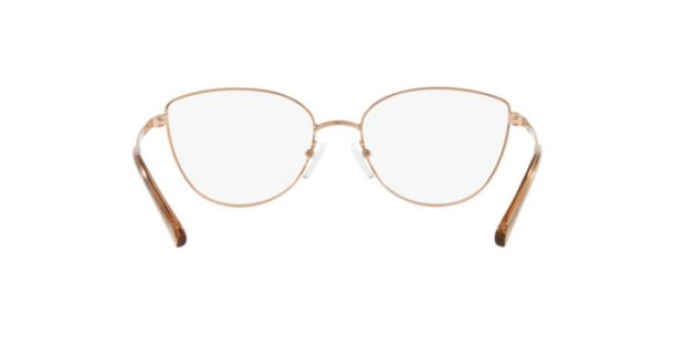 Michael Kors Buena Vista glasses MK 3030 1108 