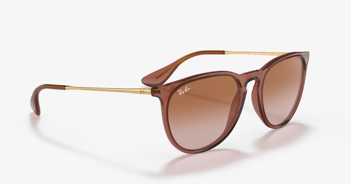 Ray-Ban Erika sunglasses